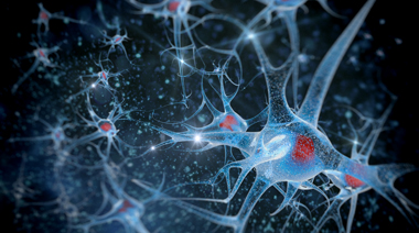 中國工業微生物菌種保藏管理中心